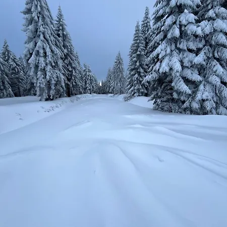Woodyou - Izerski Resort Świeradów-Zdrój Exterior foto