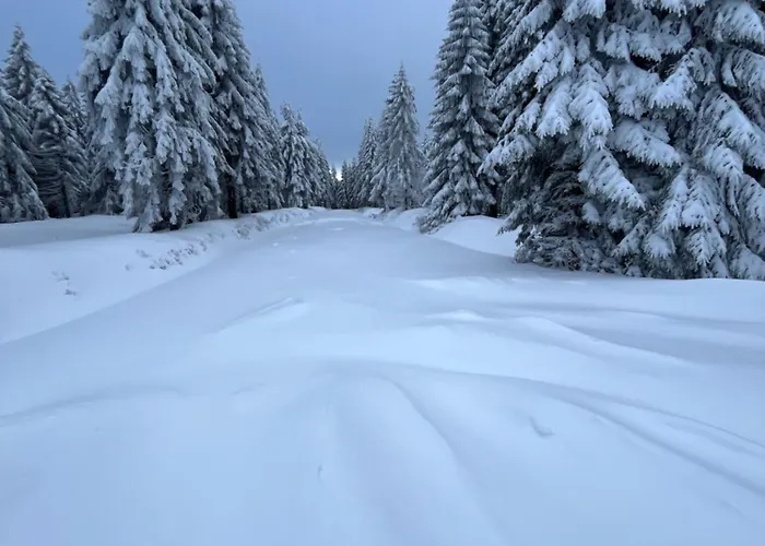 Woodyou - Izerski Resort