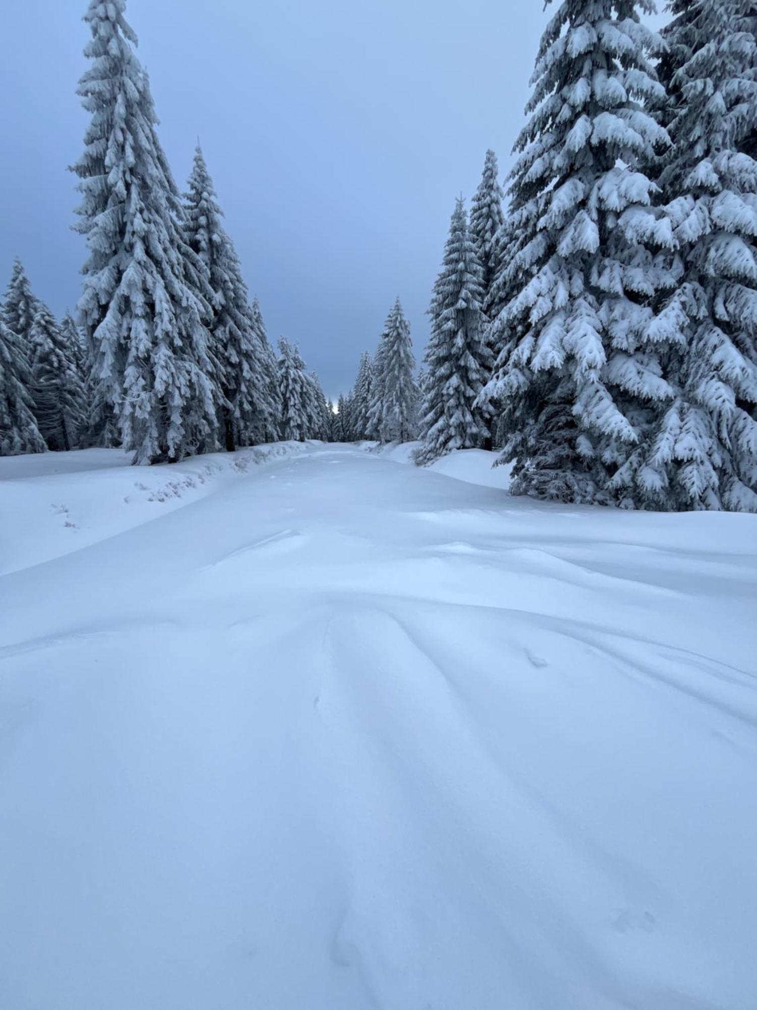 Woodyou - Izerski * Świeradów-Zdrój